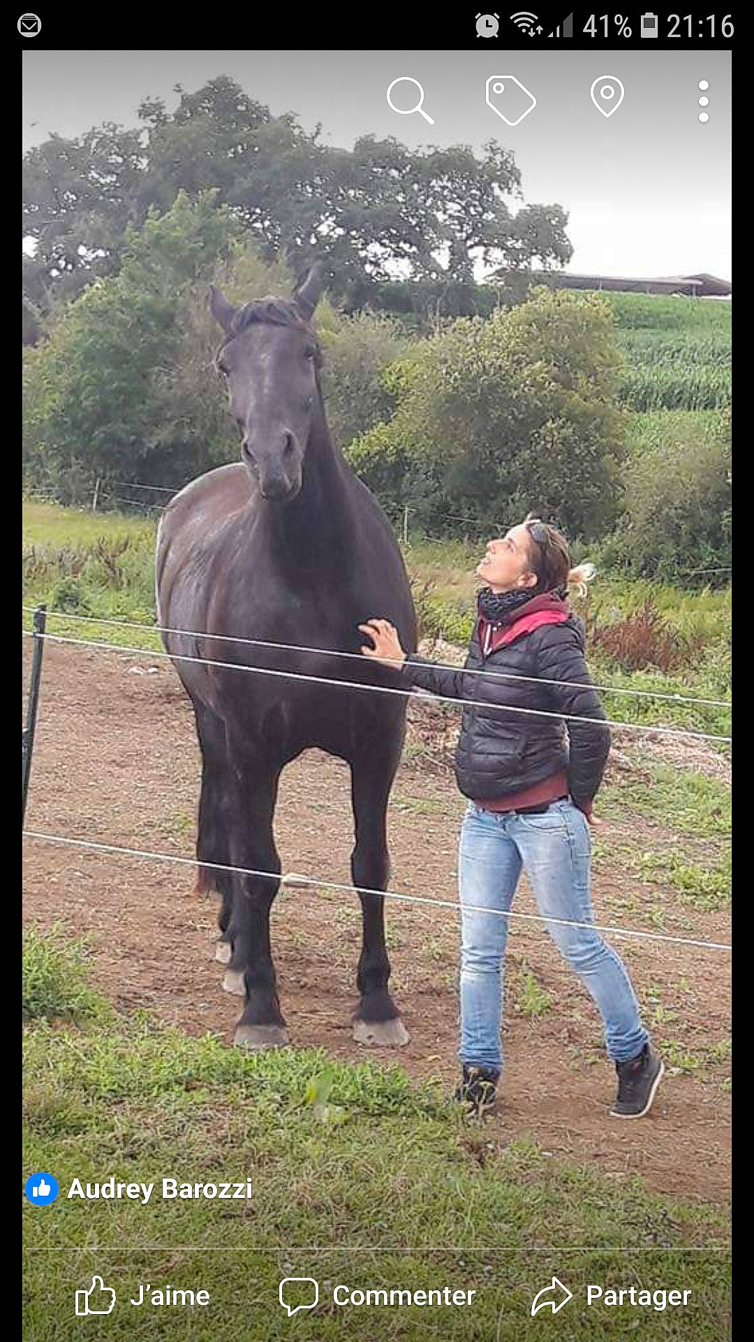 Mango a rejoint le concours — aidez-le/la à gagner de superbes lots ! bridle, farm, friendship, girl, grass, grassland, horse, horse_like_mammal, horse_supplies, livestock, mammal, mane, mare, mustang_horse, pack_animal, pasture, person, rural_area, stallion, stock_photography