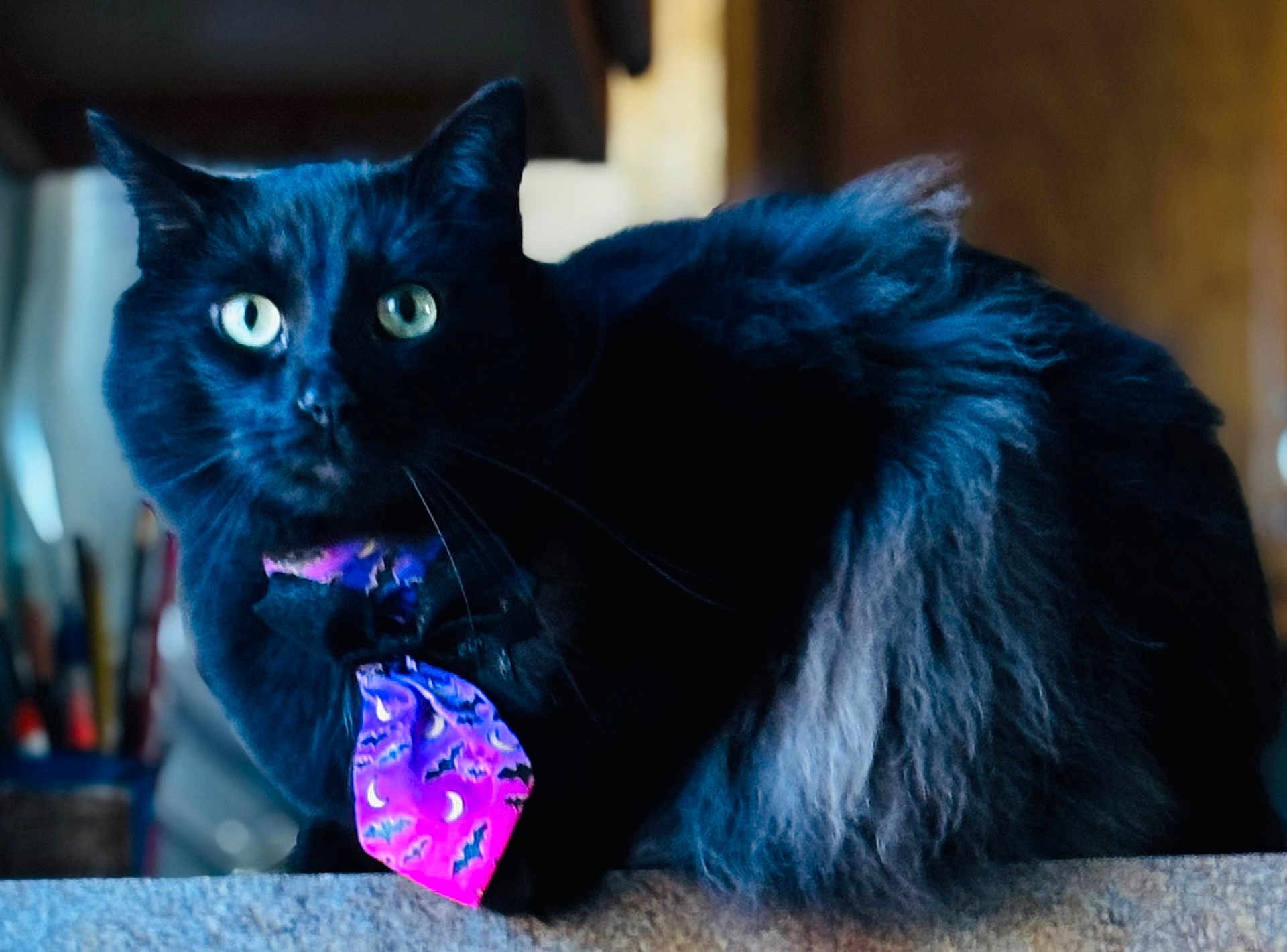 Loki