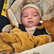 Iréna participe au concours pour gagner de l'argent avec cette photo : baby, infant, car_seat, blanket, plush_toy, beanie, sleepy, face, eyes, cozy, newborn, portrait, closeup, toy_deer, airbag_label, seat_padding, warm, buckle, soft_toy, fabric