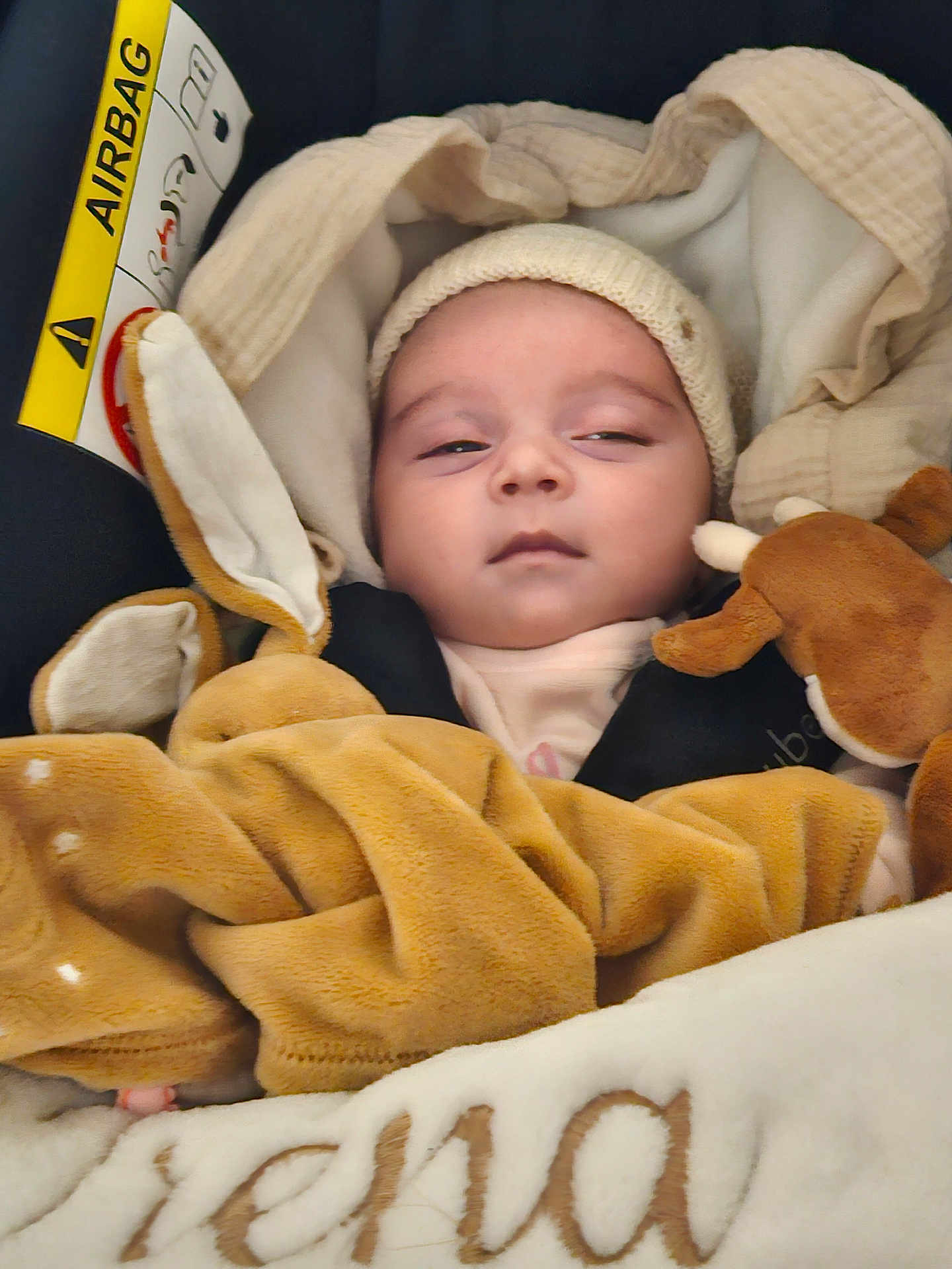 Iréna participe au concours pour gagner de l'argent avec cette photo : baby, infant, car_seat, blanket, plush_toy, beanie, sleepy, face, eyes, cozy, newborn, portrait, closeup, toy_deer, airbag_label, seat_padding, warm, buckle, soft_toy, fabric