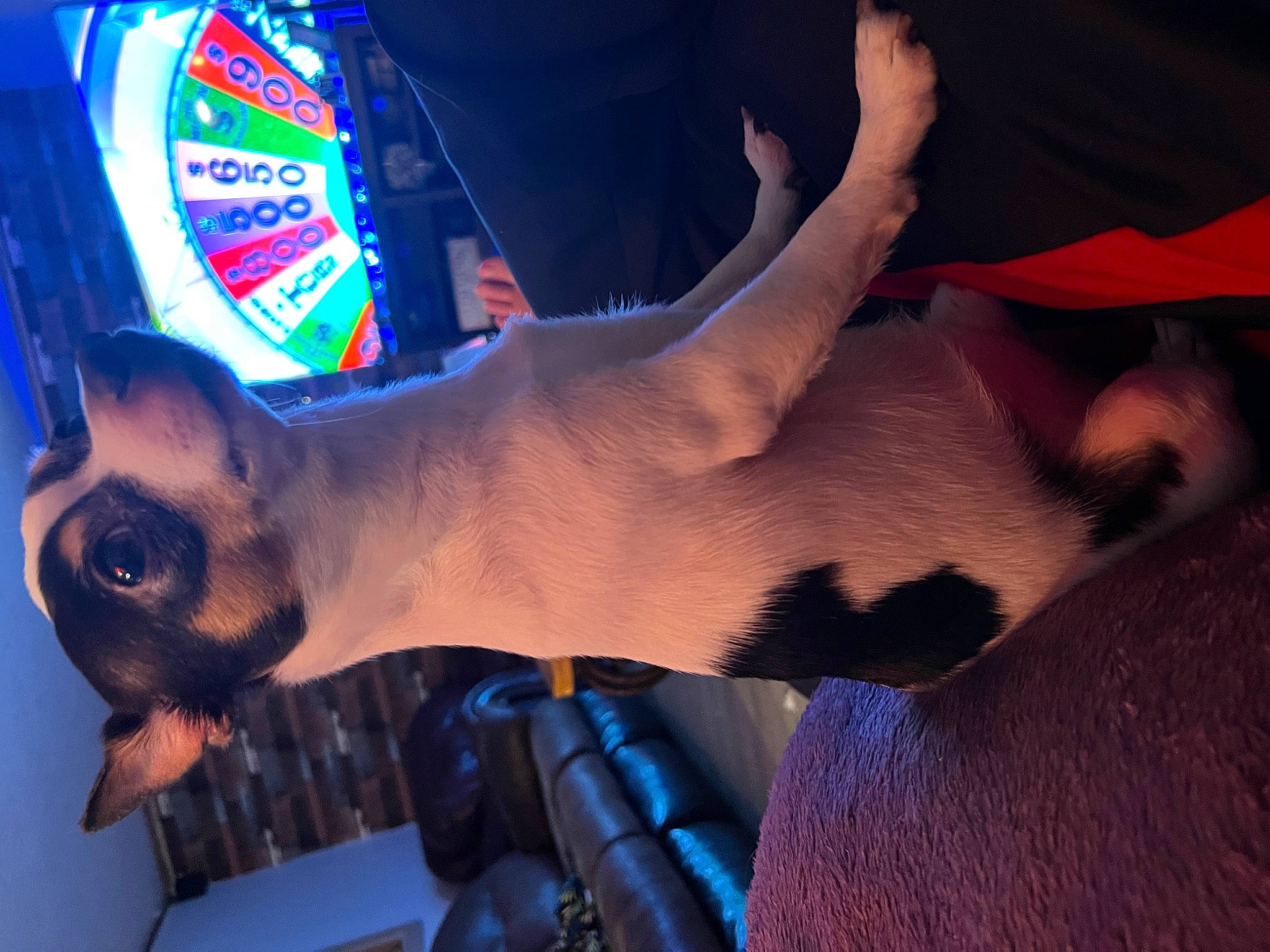 Sammy Lee Gainer is registered to the contest to win money with this photo: chest, elbow, electric_blue, finger, flesh, foot, gesture, human_leg, knee, nail, pattern, tattoo, temporary_tattoo, thigh, thumb, wrist