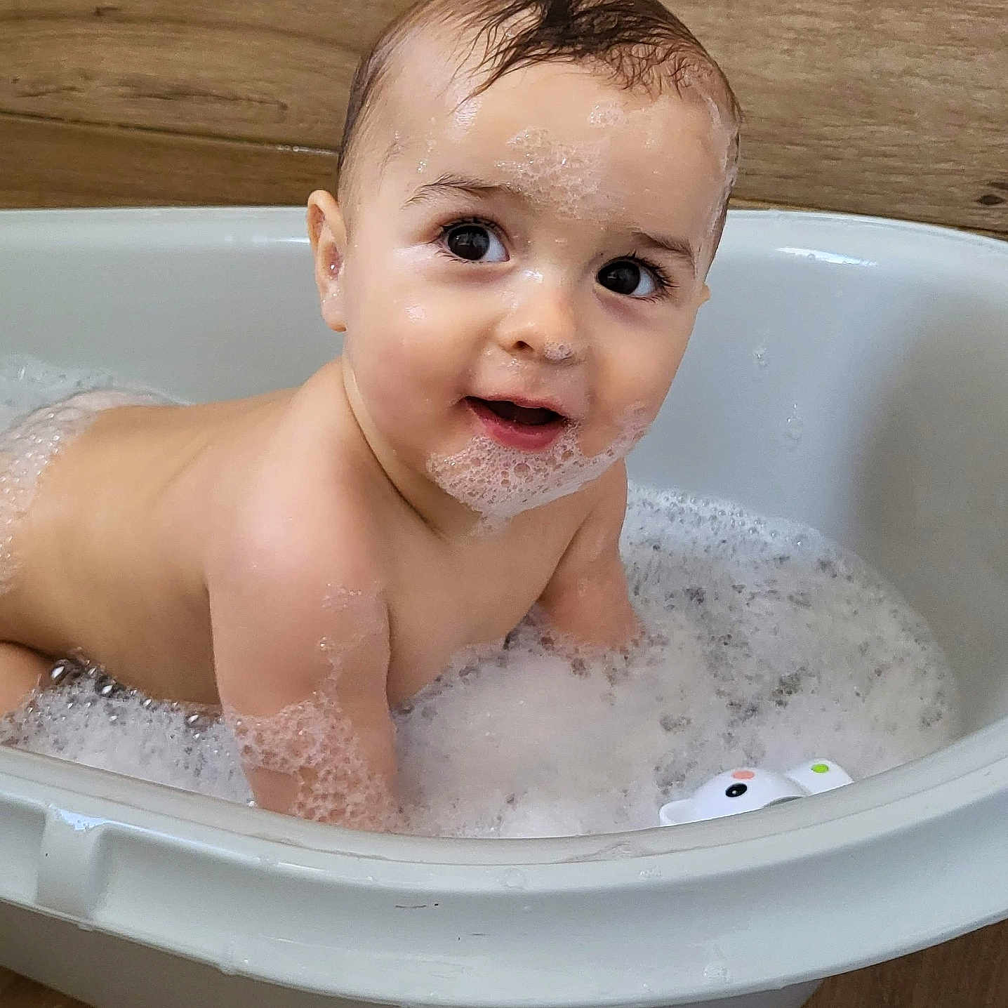 Raphaël participe au concours pour gagner de l'argent avec cette photo : baby, bath_time, bathtub, bubbles, child, cleaning, cute, face, foam, happy, indoors, infant, playing, skin, smiling, sudsy, toy, water, wet_hair, wooden_floor