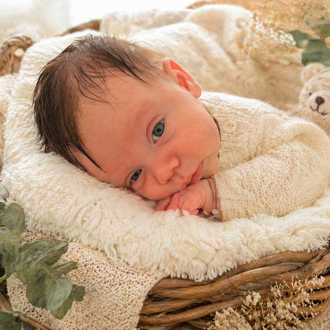 Gabin a rejoint le concours — aidez-le/la à gagner de superbes lots ! newborn, baby, infant, basket, blanket, knitted, teddy_bear, soft_texture, blue_eyes, face, sleepy, cozy, natural_light, dried_flowers, greenery, cute, portrait, resting, warm, indoors