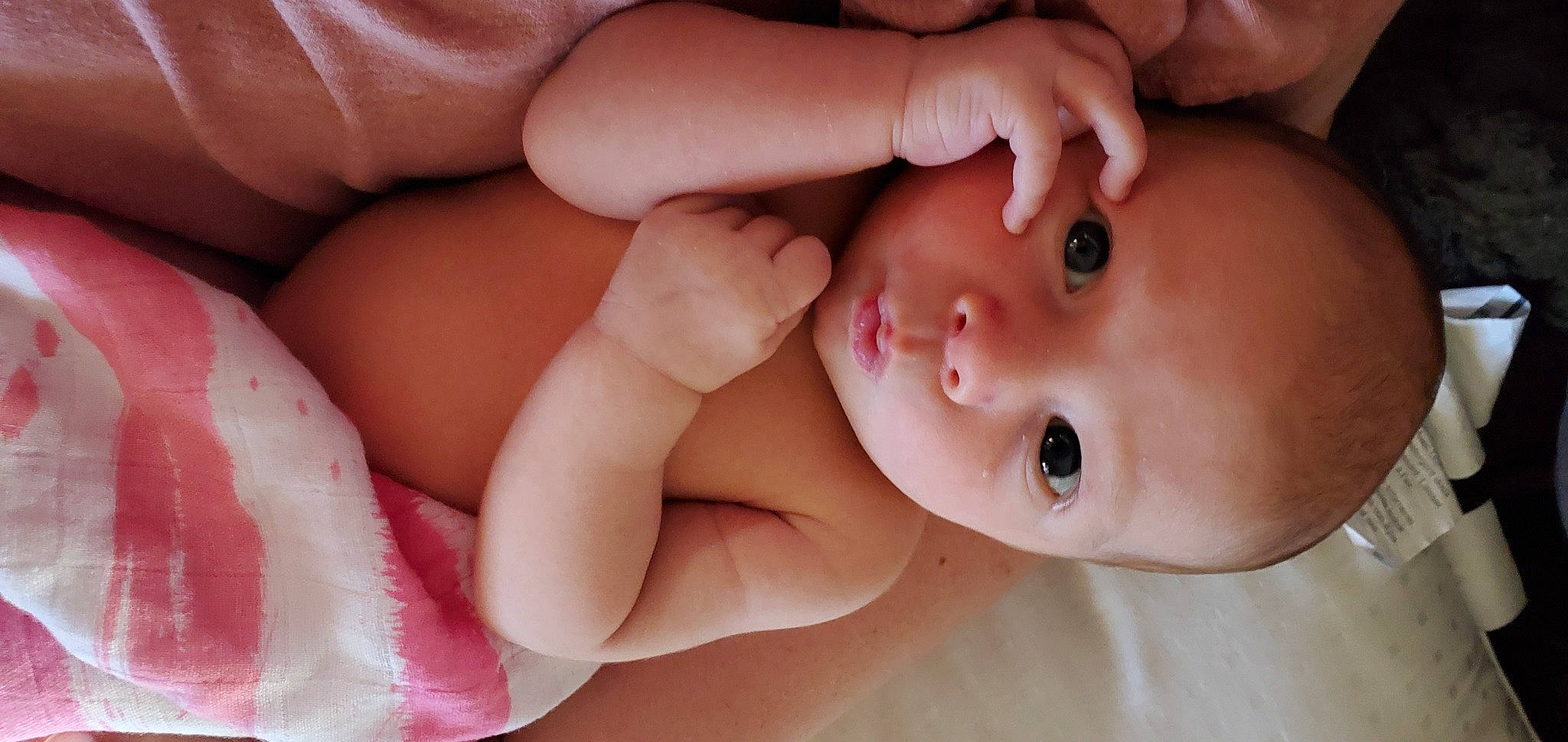 Elayna is registered to the contest to win money with this photo: arm, baby, cheek, eye, eyebrow, eyelash, facial_expression, finger, hair, hand, human_body, lip, mouth, muscle, neck, nose, organ, person, photograph, skin