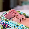 baby, feet, hand, blanket, floral_pattern, newborn, skin, infant, closeup, cozy, soft, wrapped, colorful, indoors, cute, small, delicate, resting, peaceful, toddler