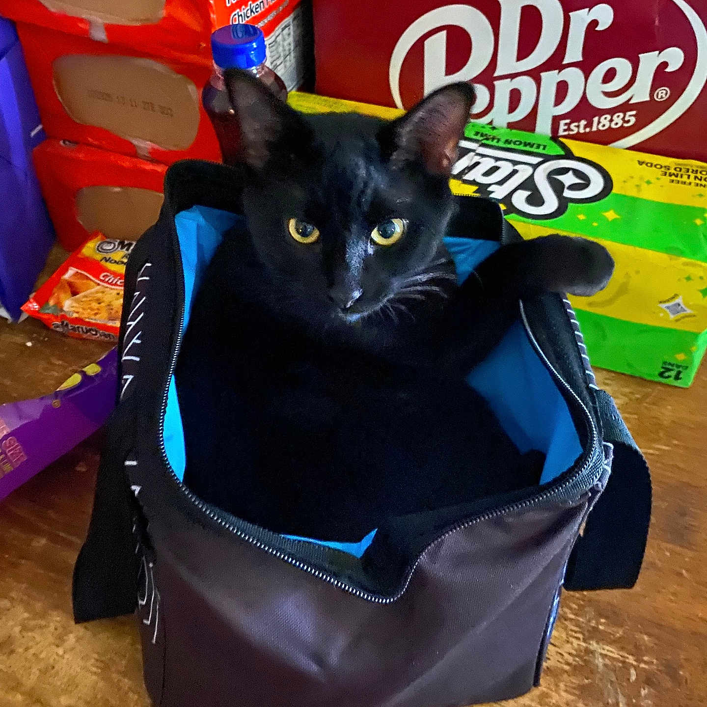 Verde joined the competition — help win amazing prizes! bag, beverage_box, black_cat, cat, close_up, container, cozy, curious, domestic_cat, dr_pepper, feline, food_packages, household, indoor, looking, pet, ramen_noodles, resting, table, wooden_surface