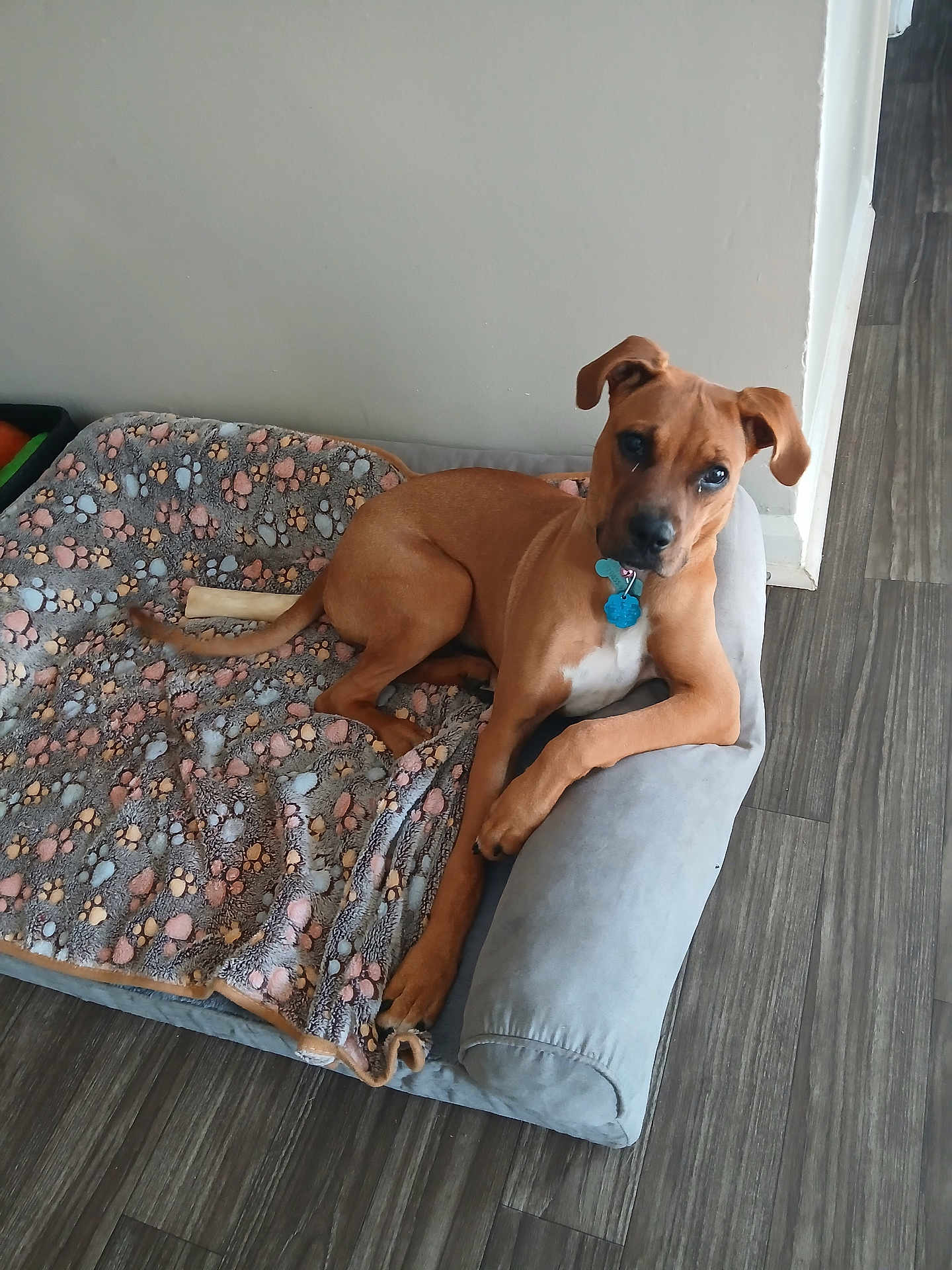 Chloe