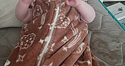 Jasper joined the competition — help win amazing prizes! baby, blanket, brown, cushion, face, fleece, furniture, home, infant, indoors, lying_down, person, plush, portrait, resting, snug, soft, toddler, young_child, zipped