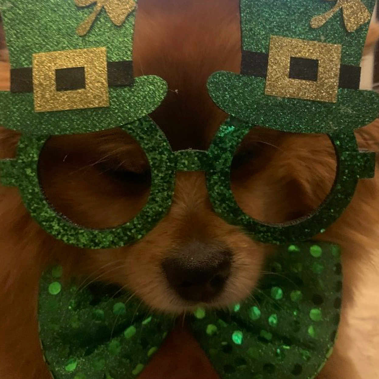 Hobo is registered to the contest to win money with this photo: chest, circle, eyewear, fashion_accessory, fictional_character, games, goggles, grass, green, headgear, jewellery, mask, masque, metal, pattern, personal_protective_equipment, sunglasses, symmetry, table, wood