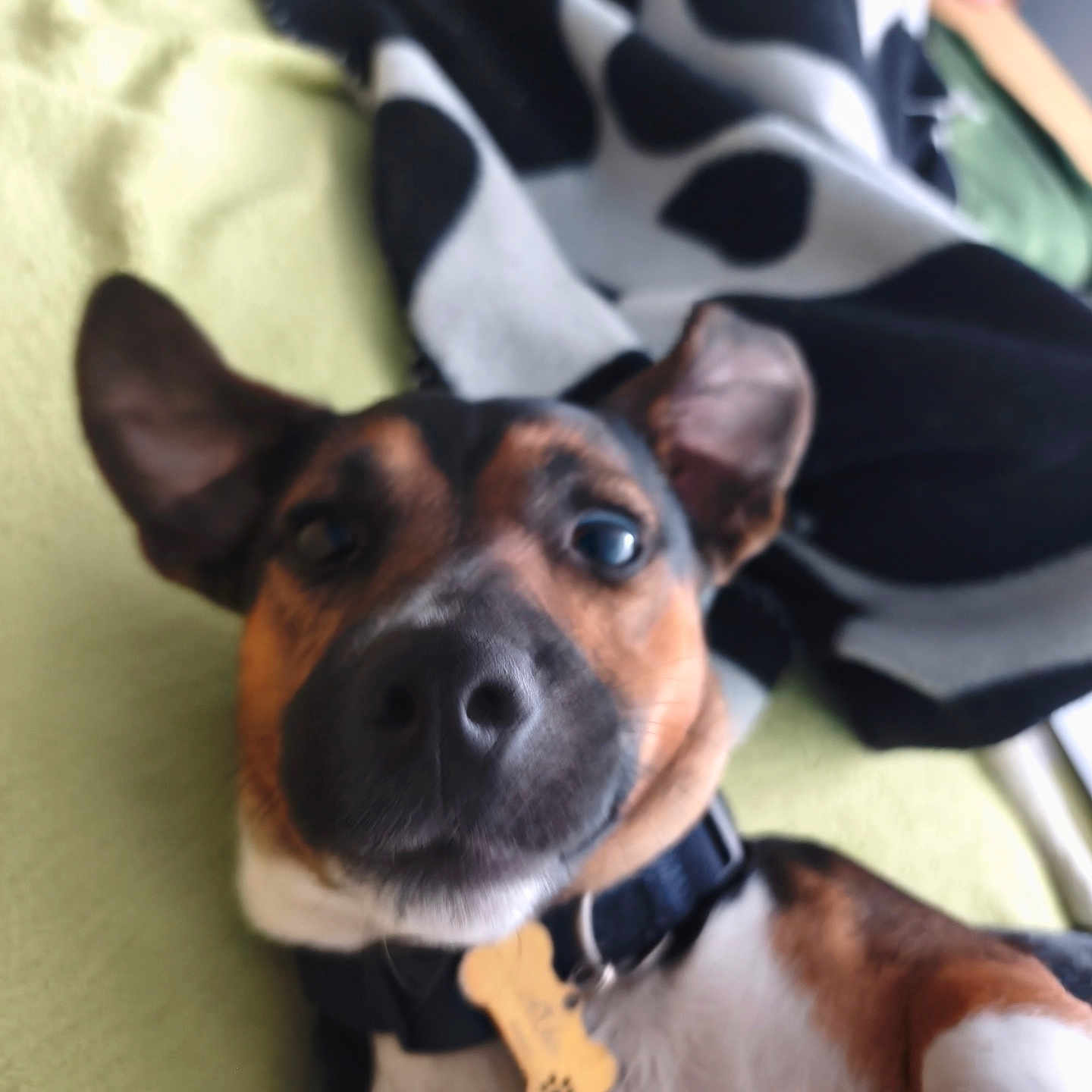 Aiko