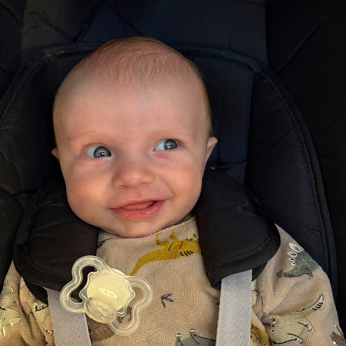 Thélio a rejoint le concours — aidez-le/la à gagner de superbes lots ! baby, infant, car_seat, pacifier, dinosaur_pattern, smile, blue_eyes, clothing, straps, cute, face, child, indoors, expression, head, person, seat, happy, young, portrait