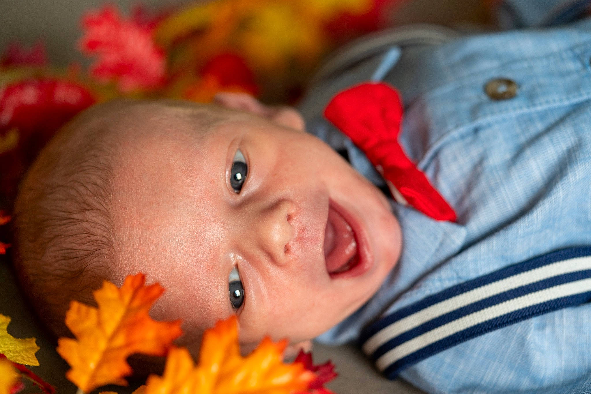 Aiden joined the competition — help win amazing prizes! cheek, chin, eye, eyebrow, eyelash, face, happy, head, human_body, iris, leaf, lip, mouth, nose, orange, organ, person, plant, skin, smile