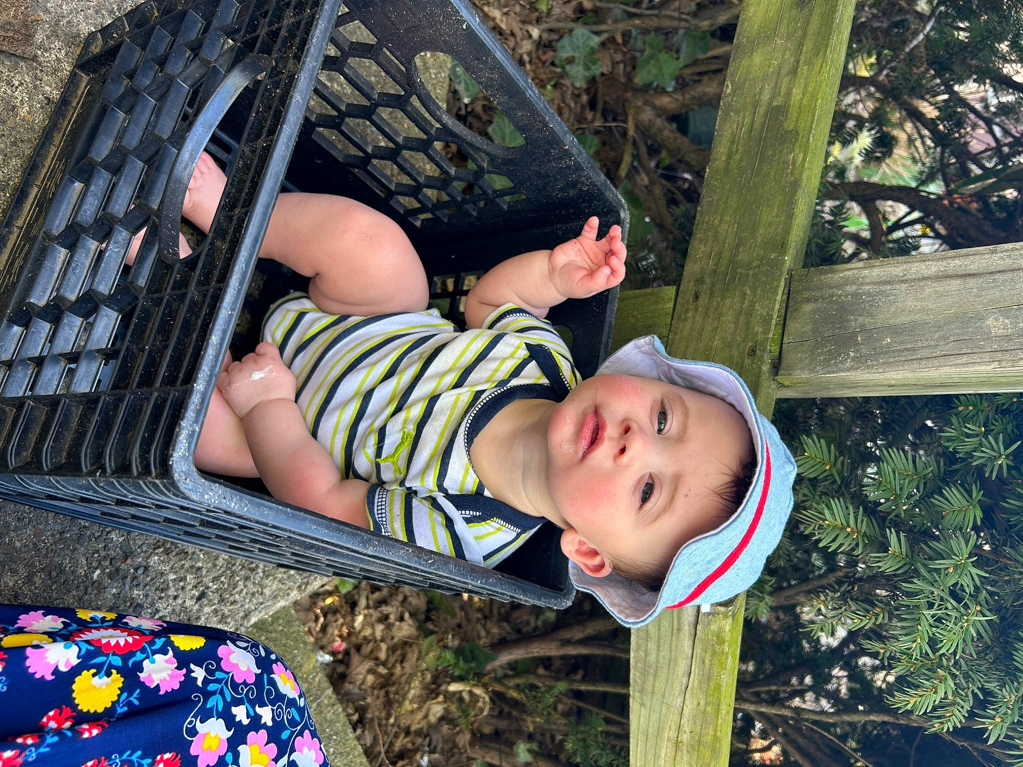 Kylan is registered to the contest to win money with this photo: baby, baby_products, baby_toddler_clothing, child, foot, fun, grass, happy, leaf, leisure, pattern, people_in_nature, person, plant, recreation, sitting, toddler, tree, vacation, wood