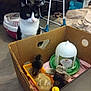 cat, chicks, cardboard_box, indoor, floor, pet_carrier, bird, animal, curious, yellow, black_and_white, feathers, feeding_tray, household, domestic, young_animals, pet, furniture, blanket, livestock
