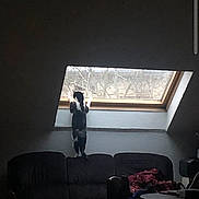 Orion participe au concours pour gagner de l'argent avec cette photo : cat, window, couch, indoor, curious, stretching, skylight, furniture, clothing, dim_light, room, pet, animal, looking_out, home, cozy, table, chair, living_room, curiosity