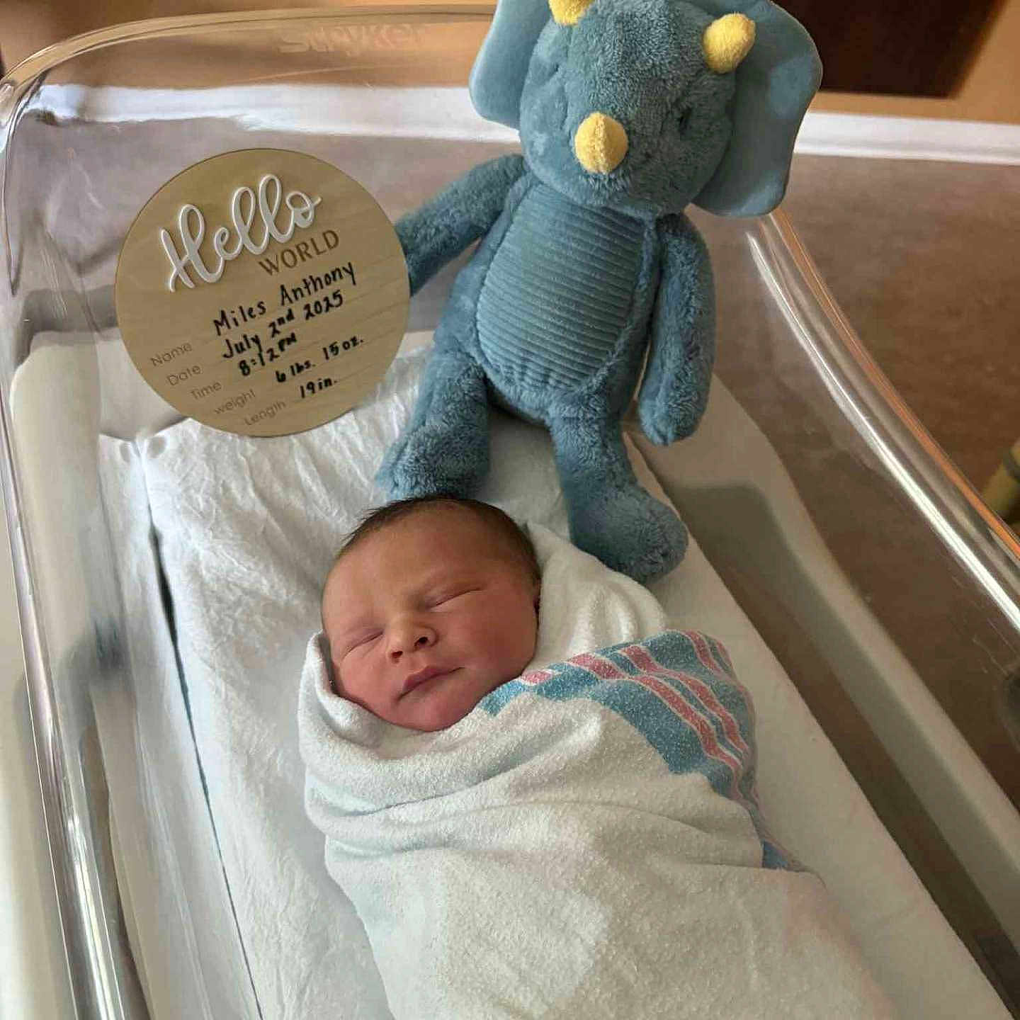 Miles joined the competition — help win amazing prizes! baby, bassinet, bed, birth_announcement, blanket, child, cute, dinosaur, handwritten, hospital, indoor, infant, newborn, peaceful, person, plush_toy, sleeping, soft, swaddled, toy