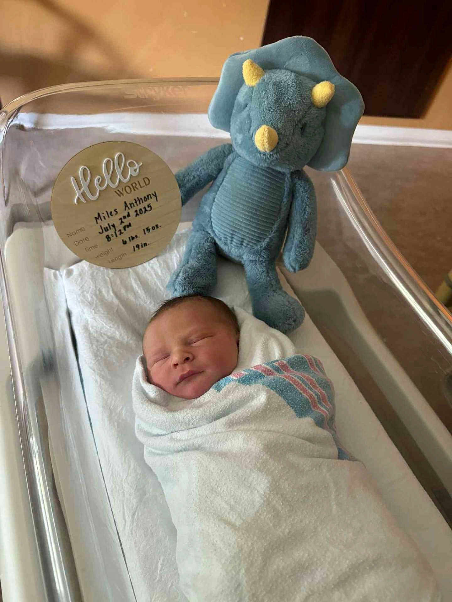 Miles joined the competition — help win amazing prizes! newborn, baby, hospital, bassinet, blanket, swaddled, sleeping, plush_toy, dinosaur, toy, birth_announcement, handwritten, infant, child, cute, peaceful, indoor, person, soft, bed
