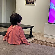 Tehreek is registered to the contest to win money with this photo: toddler, child, pink_hoodie, couch, living_room, television, butterfly, painting, peacock, rug, tile_floor, coffee_table, wall, doorway, home, indoor, person, sitting, back_view, casual