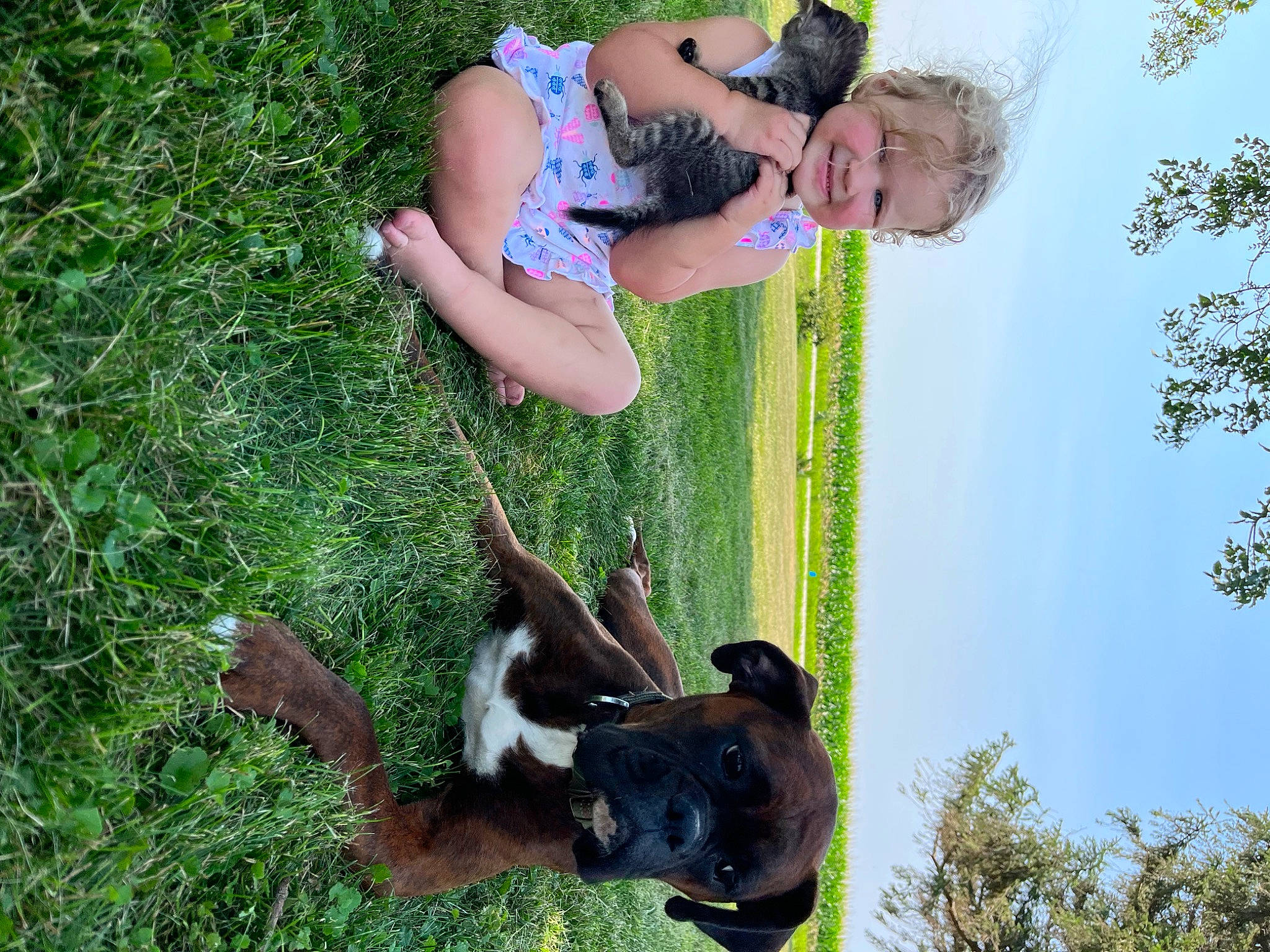 Catie joined the competition — help win amazing prizes! fun, grass, grassland, happy, joy, leisure, people_in_nature, person, plant, recreation, sky, smile, tail, terrestrial_animal, toddler, tree, trunk