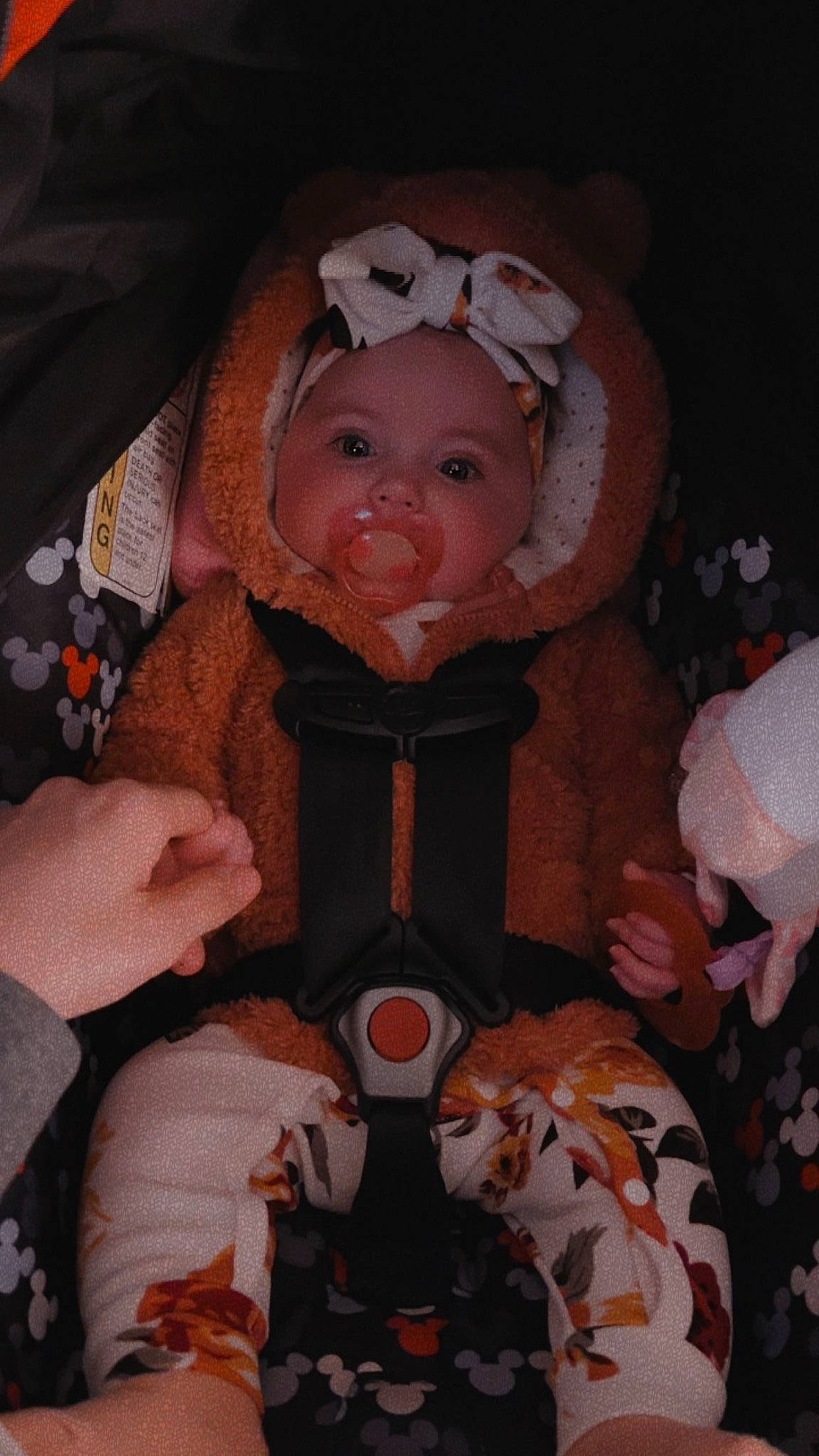 Karmen joined the competition — help win amazing prizes! baby, baby_carriage, baby_products, baby_toddler_clothing, cheek, child, costume, fun, fur, headwear, lap, pattern, person, pink, plush, room, sitting, smile, stuffed_toy, textile