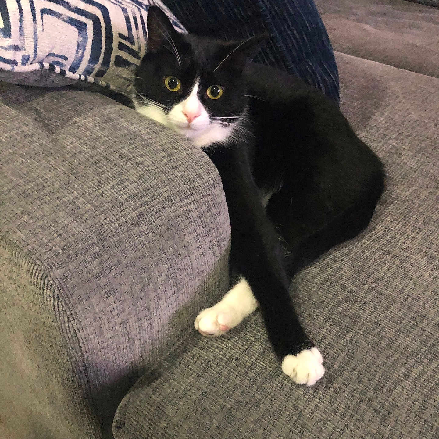 Opie