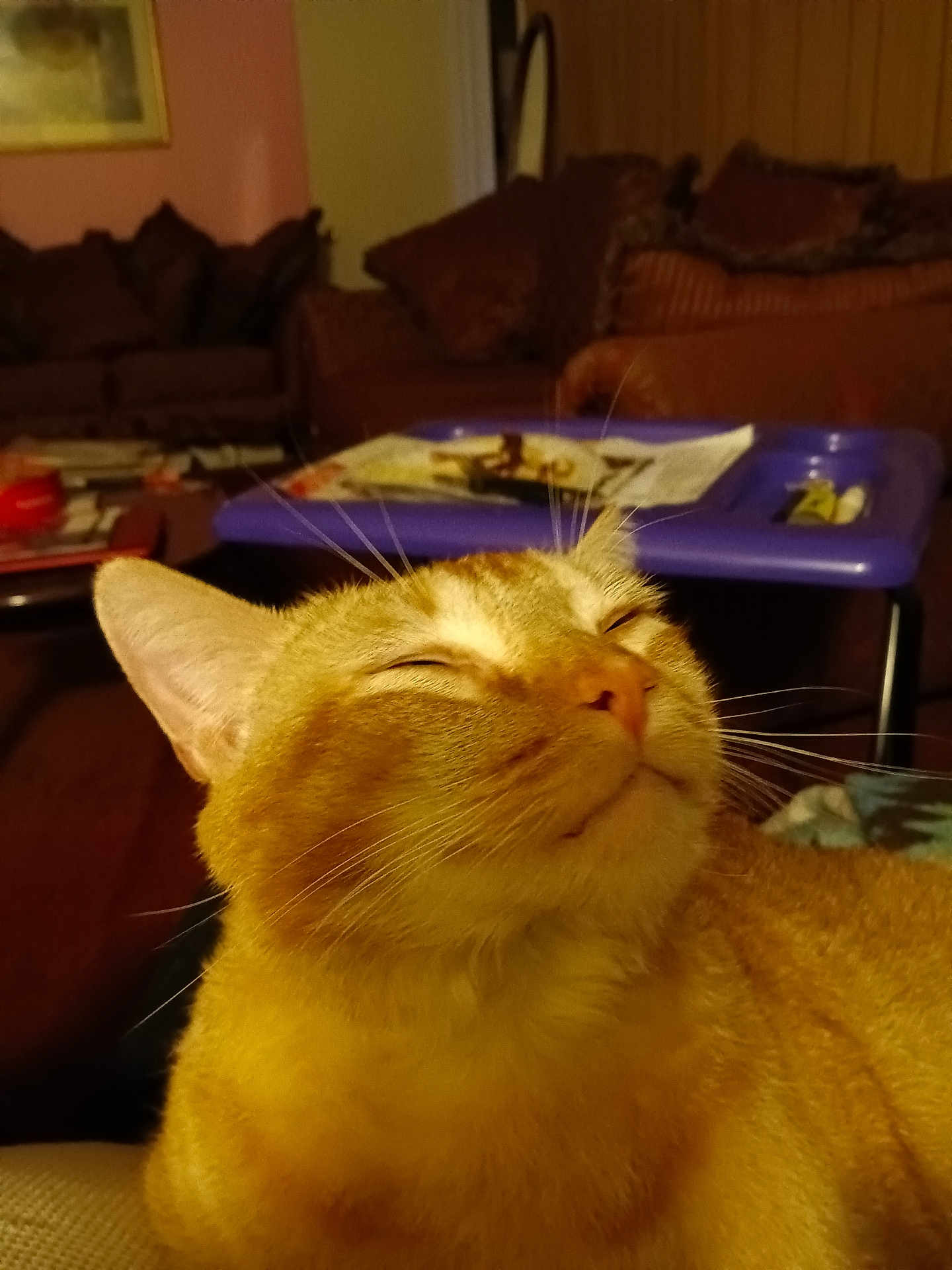 Max
