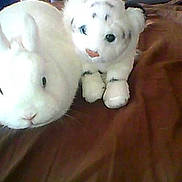 Mélo participe au concours pour gagner de l'argent avec cette photo :