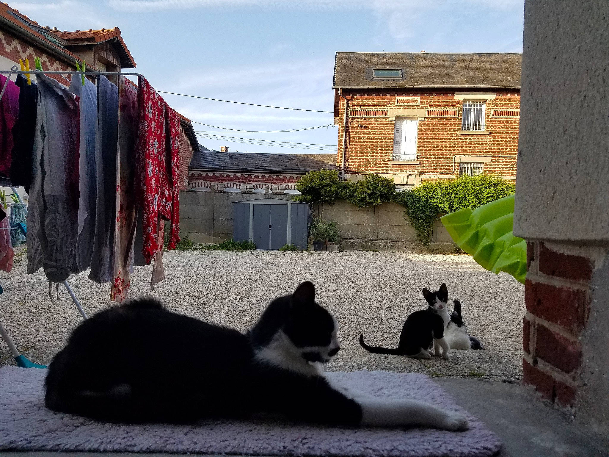 Pucca participe au concours pour gagner de l'argent avec cette photo : aegean_cat, alley, architecture, art, black_cat, carnivore, cat, felidae, infrastructure, neighbourhood, road, shadow, sky, small_to_medium_sized_cats, snapshot, street, tail, town, wall, whiskers