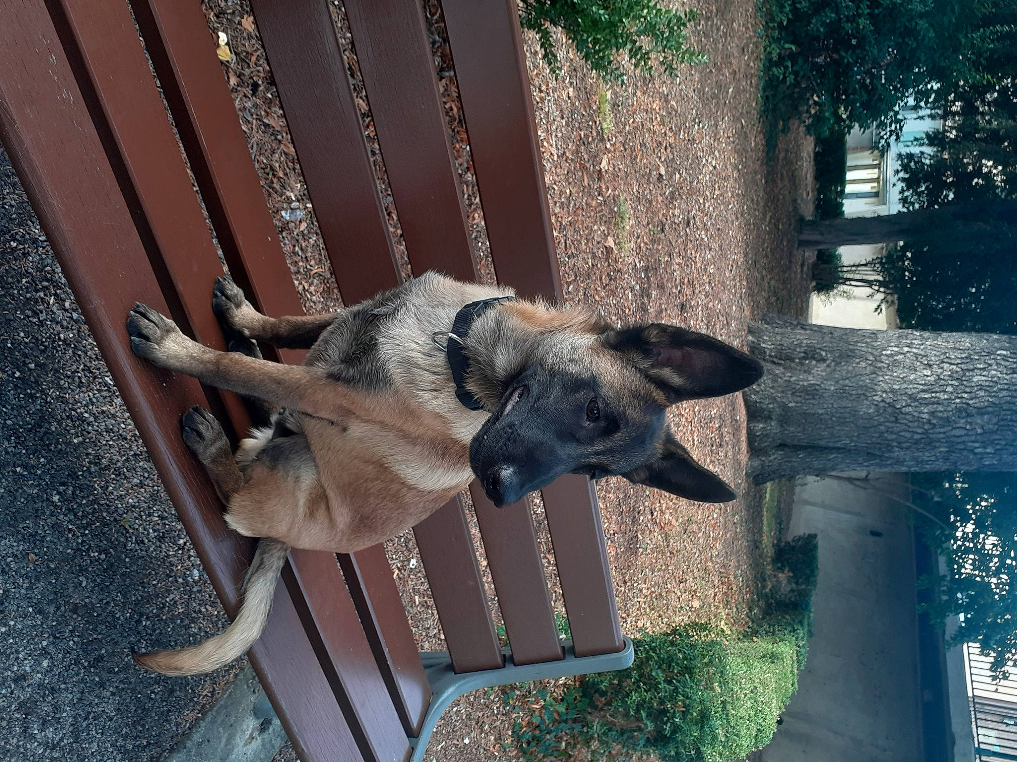 Tayko