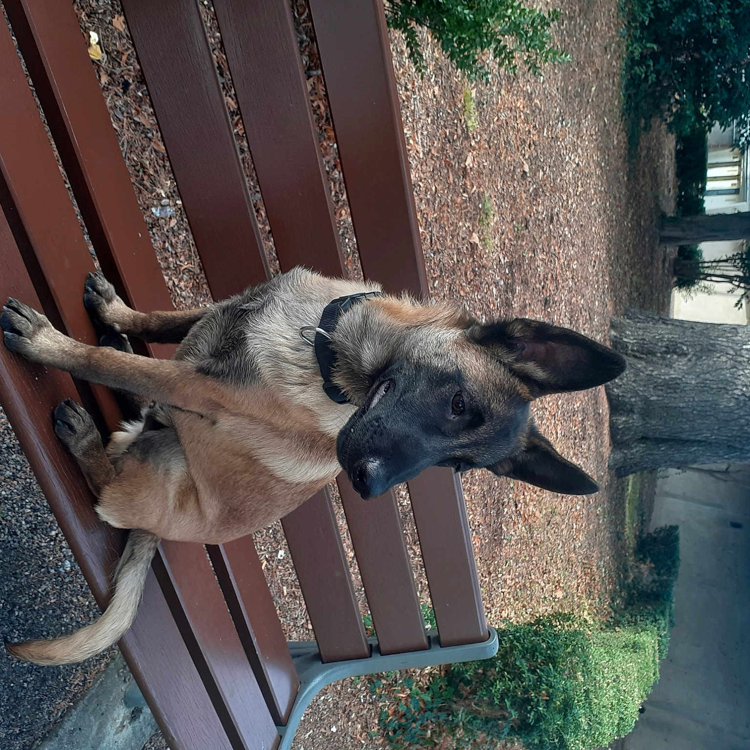 Tayko