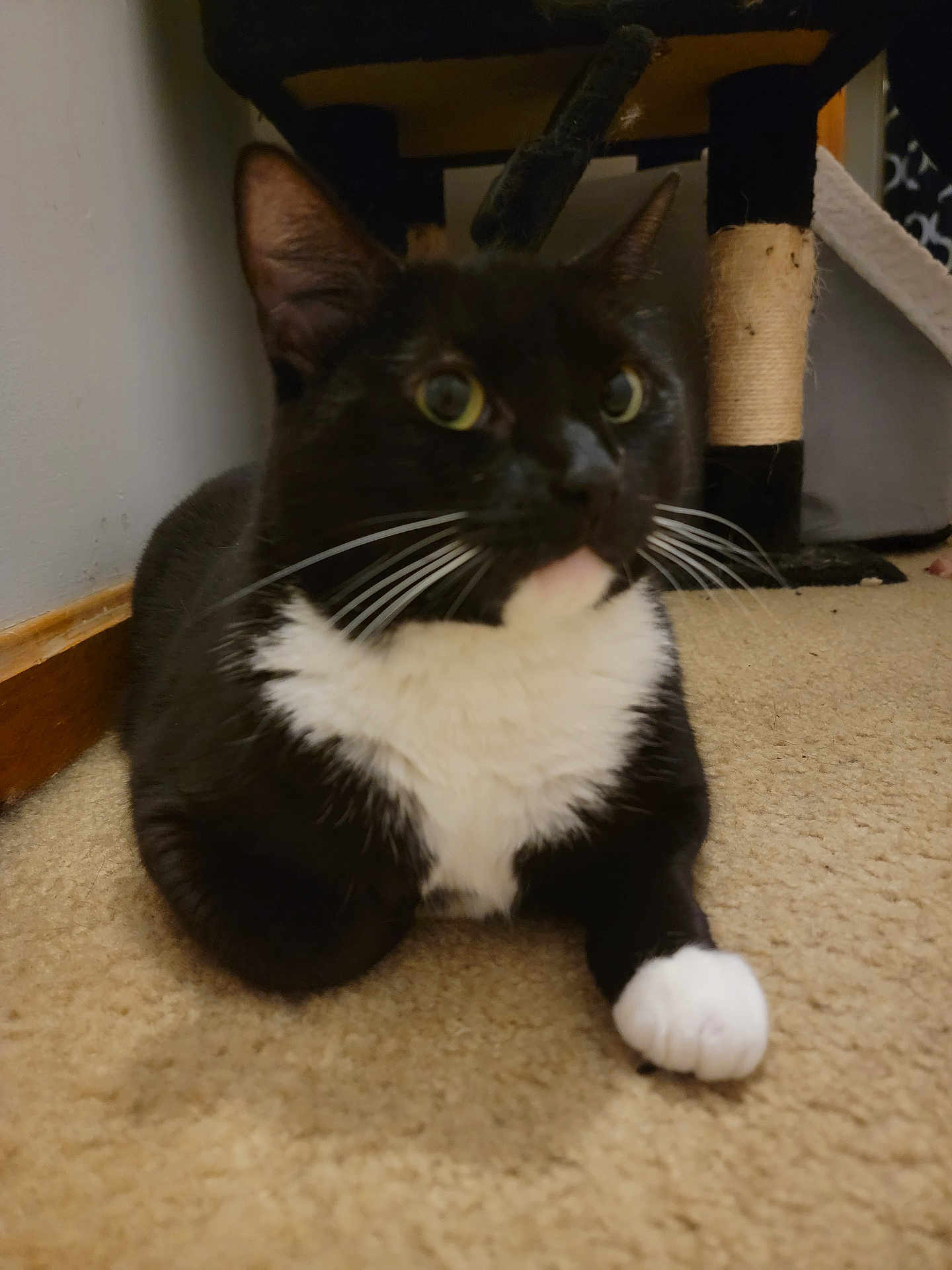 Rosie