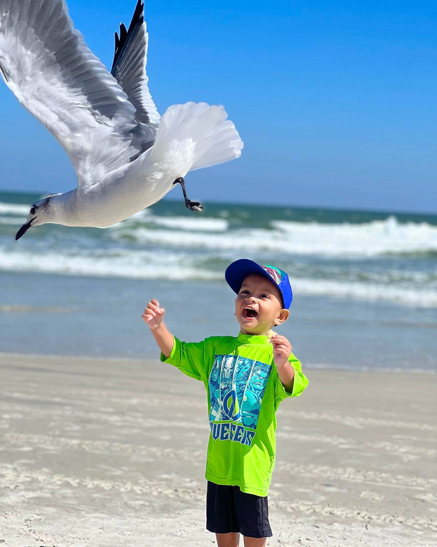 Martín Alejandro Liscano Valor