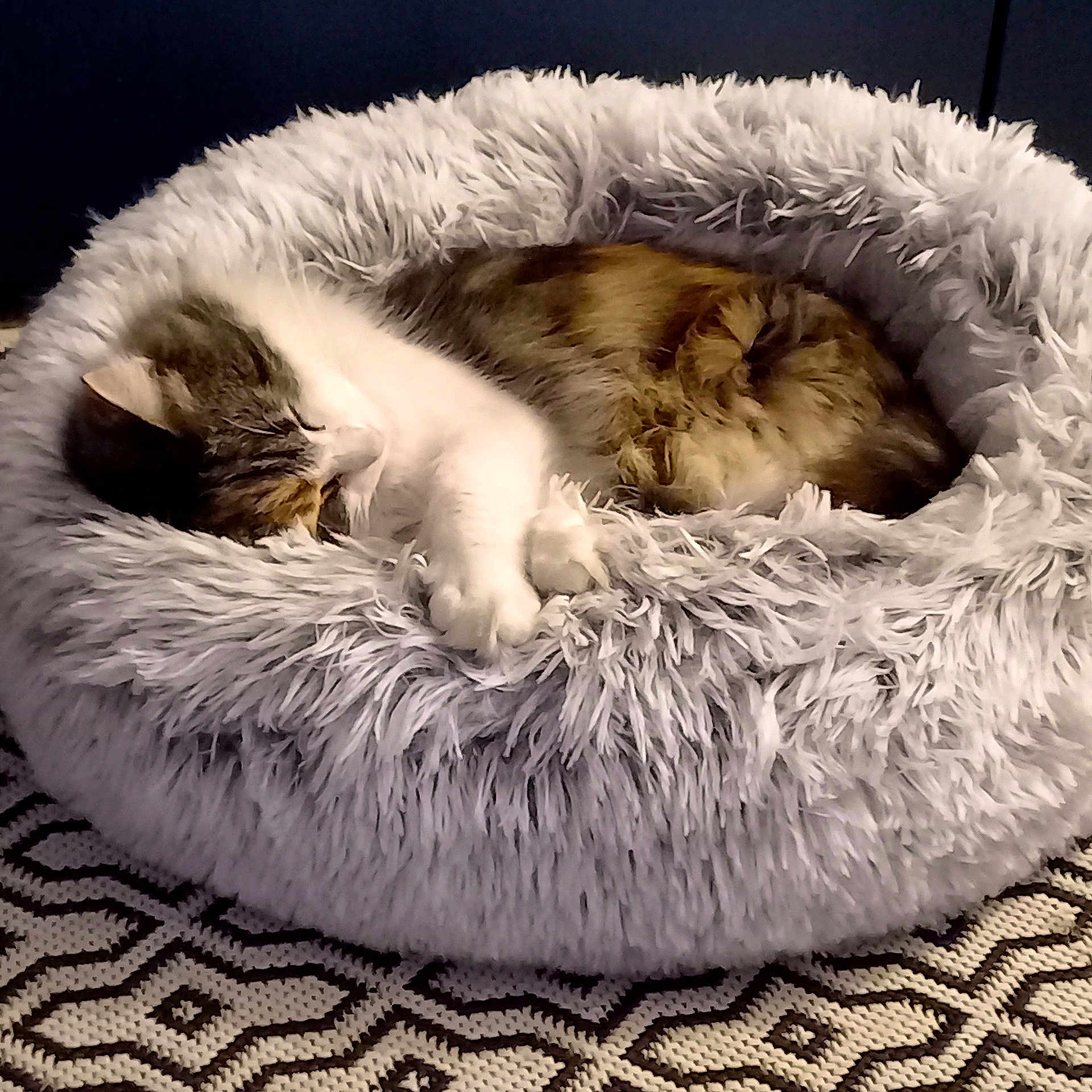 Juanita