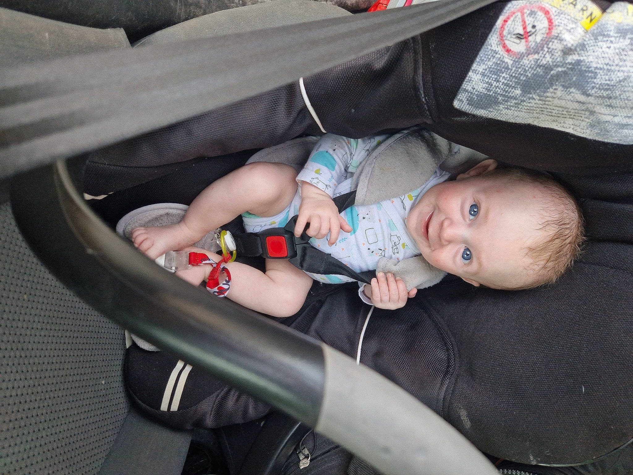 Nyno a rejoint le concours — aidez-le/la à gagner de superbes lots ! auto_part, automotive_design, automotive_exterior, baby, baby_carriage, baby_products, baby_toddler_clothing, car_seat, child, comfort, family_car, fun, human_leg, lap, motor_vehicle, person, sitting, toddler, tree, vehicle_door