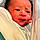Jiron Caelix