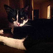 Smocky a rejoint le concours — aidez-le/la à gagner de superbes lots !