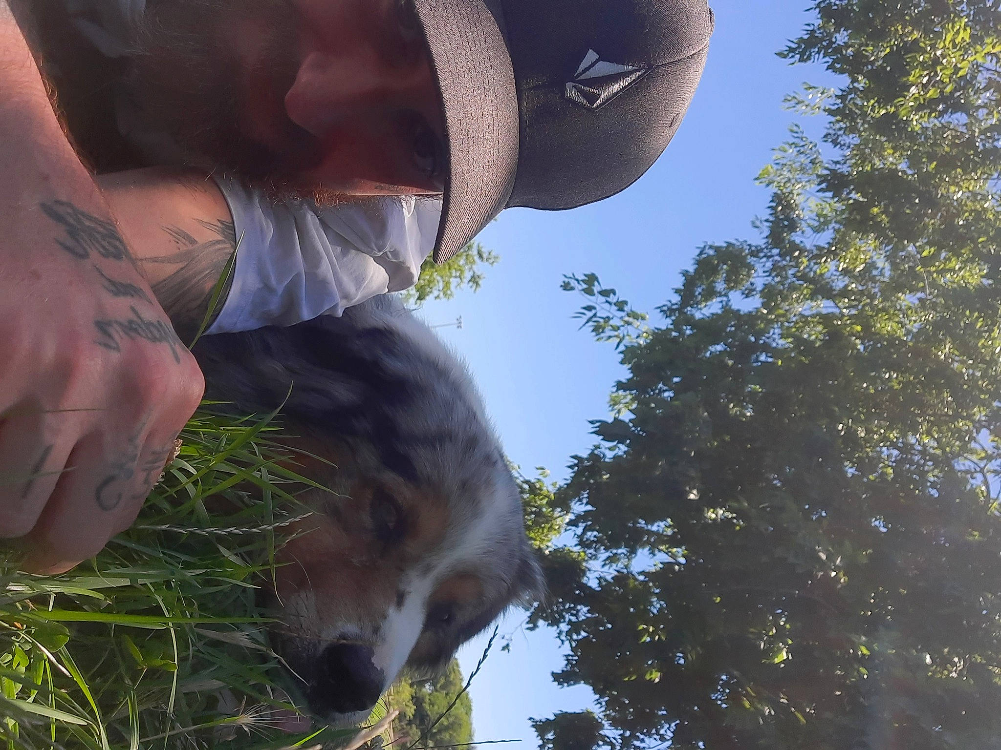 Nasko participe au concours pour gagner de l'argent avec cette photo : daytime, eyewear, fawn, fur, gesture, grass, grassland, hand, happy, hat, landscape, leg, people_in_nature, plant, sky, snout, spring, sunglasses, tree, whiskers