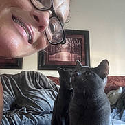 Izzy joined the competition — help win amazing prizes! animal, blanket, braces, cat, closeup, couch, cozy, domestic, framed_picture, furniture, glasses, gray_cat, happy, home, indoor, person, pet, portrait, smile, wall_art