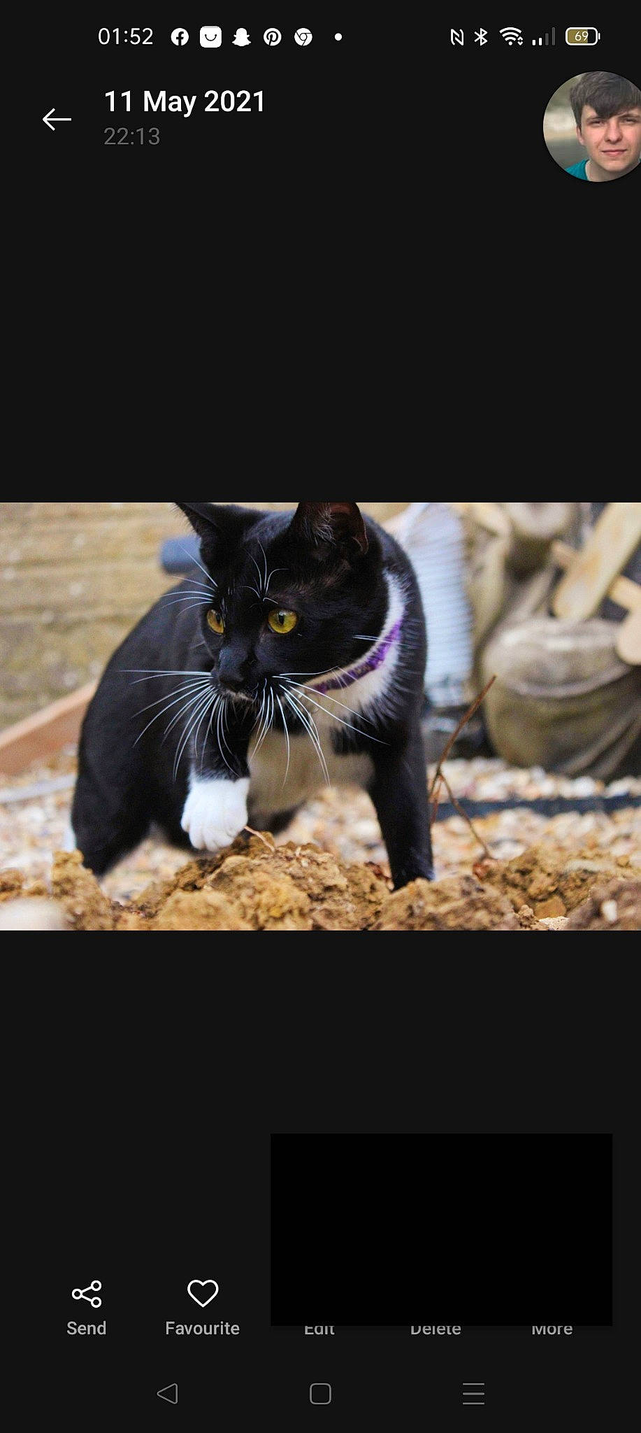 Fury is registered to the contest to win money with this photo: automotive_tire, black_cat, carnivore, cat, domestic_short_haired_cat, electric_blue, felidae, formal_wear, fur, grass, paw, photo_caption, small_to_medium_sized_cats, snout, soil, tail, terrestrial_animal, whiskers, wildlife, window