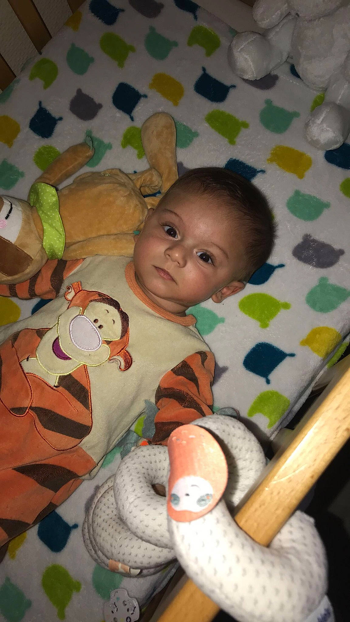 Garçon participe au concours pour gagner de l'argent avec cette photo : baby, baby_products, baby_toddler_clothing, baby_toys, cheek, child, finger, fun, happy, iris, organ, person, play, product, room, sitting, skin, stuffed_toy, toddler, toy