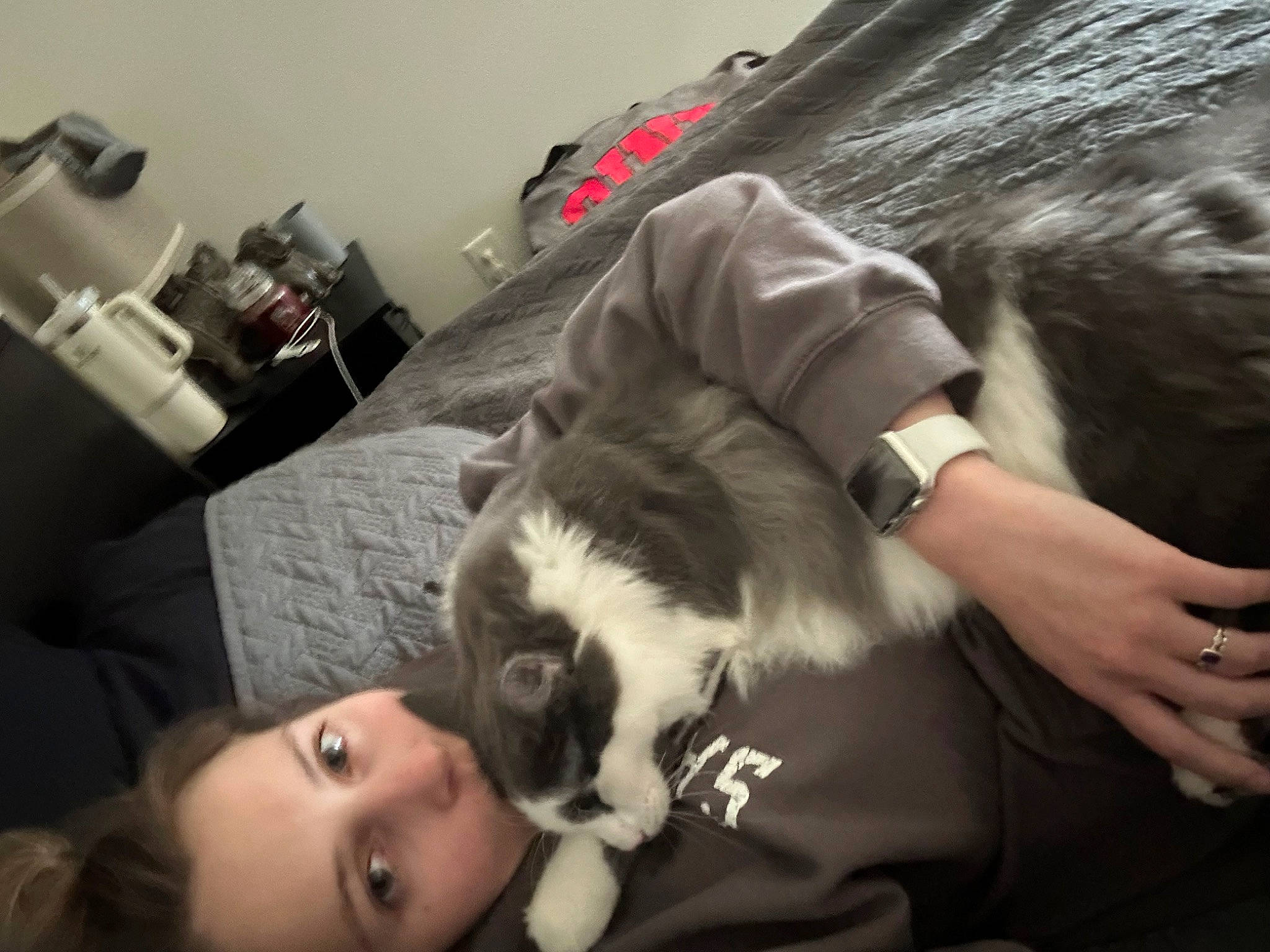 Bubs is registered to the contest to win money with this photo: beard, canidae, carnivore, cat, comfort, companion_dog, dog_breed, ear, facial_hair, fashion_accessory, felidae, fur, gesture, lap, small_to_medium_sized_cats, sporting_group, strap, watch, whiskers, wrist