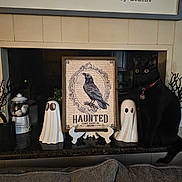 Salem joined the competition — help win amazing prizes! black_cat, cat, pet, animal, sitting, wide_eyes, collar, indoor, fireplace, mantel, halloween, ghost_decorations, haunted_sign, raven, black_decoration, branch_decoration, candy_jar, home_decor, portrait, spooky