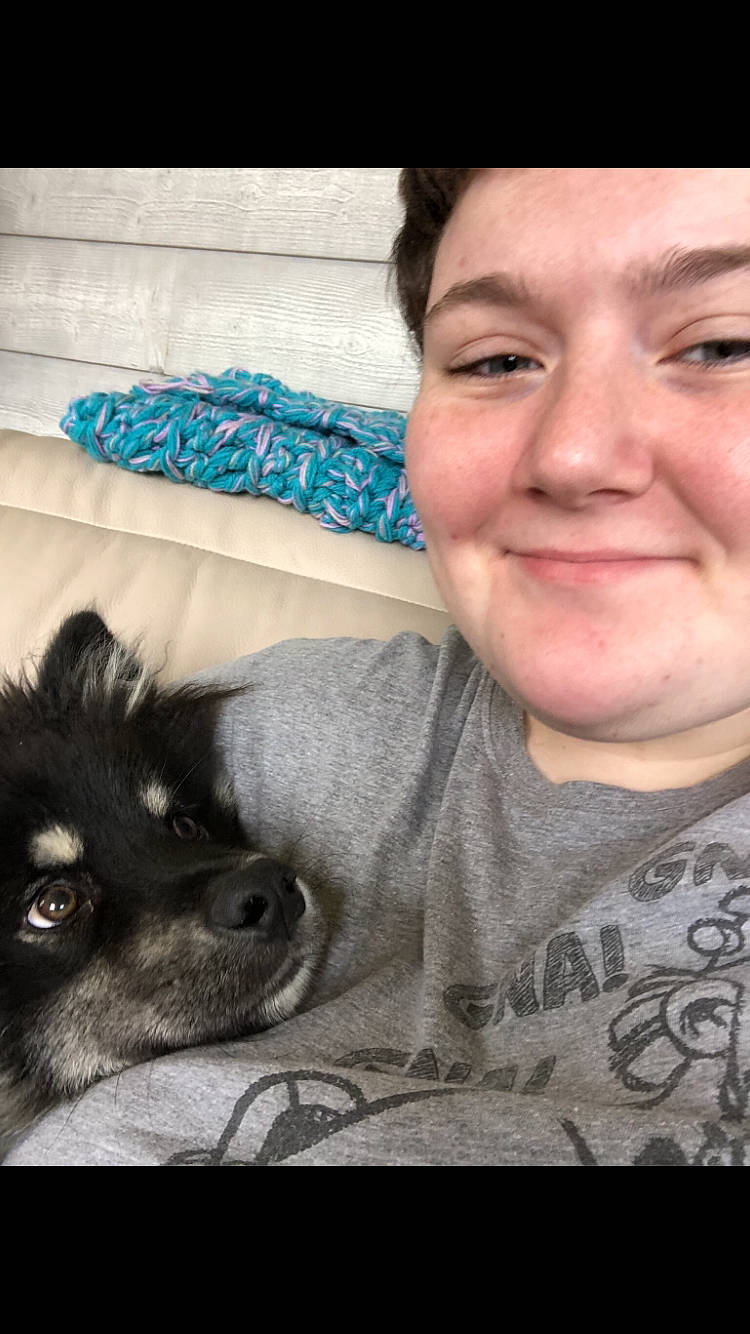 Tsuki a rejoint le concours — aidez-le/la à gagner de superbes lots ! black_hair, carnivore, comfort, companion_dog, dog, dog_breed, ear, eyebrow, fawn, felidae, gesture, happy, jaw, mouth, nose, selfie, skin, smile, whiskers, working_animal