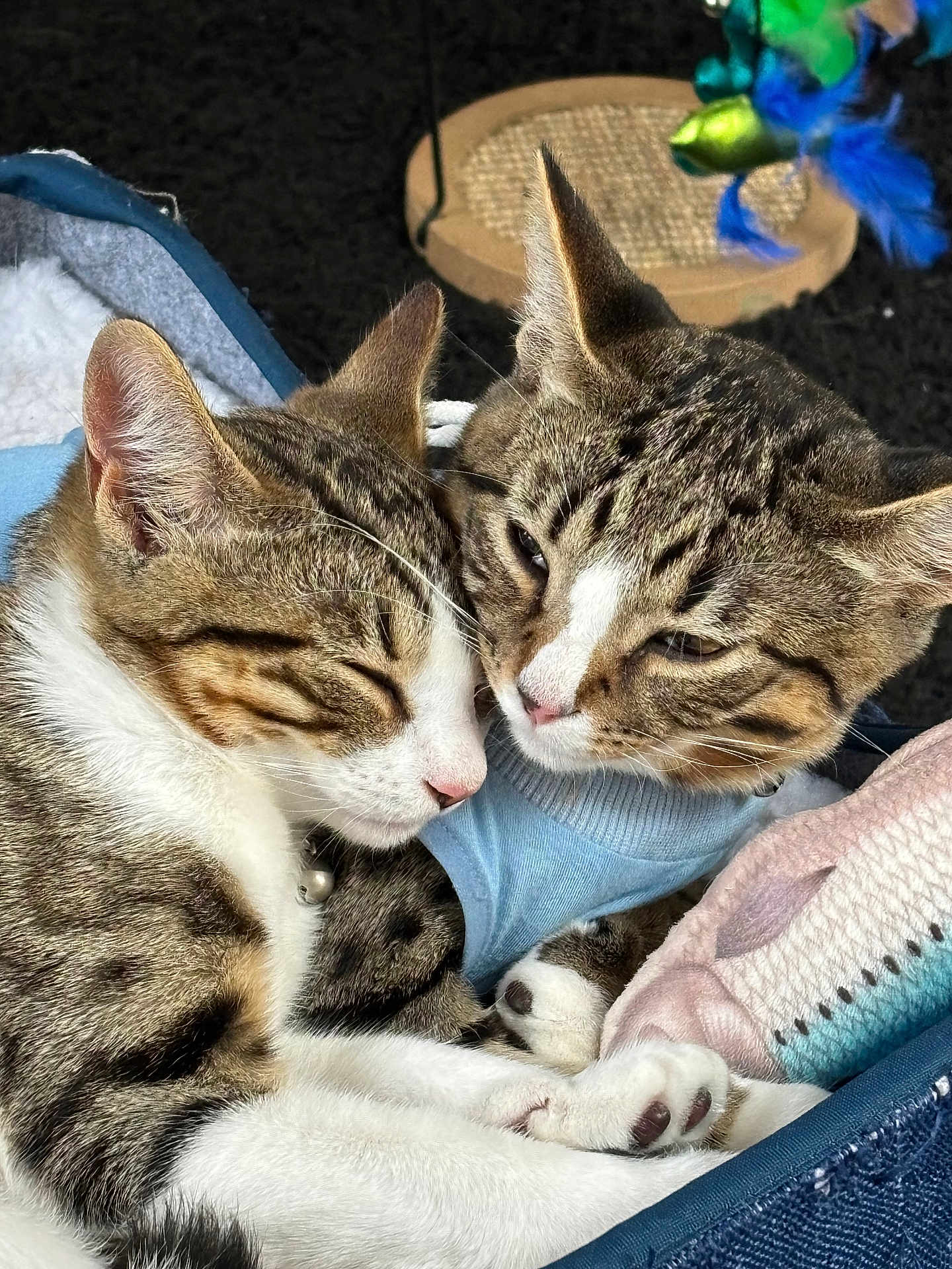 Pan And Gideon
