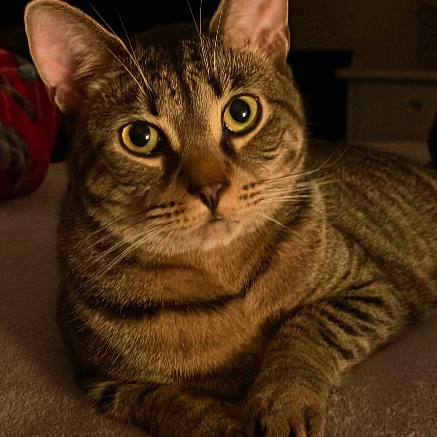 Java
