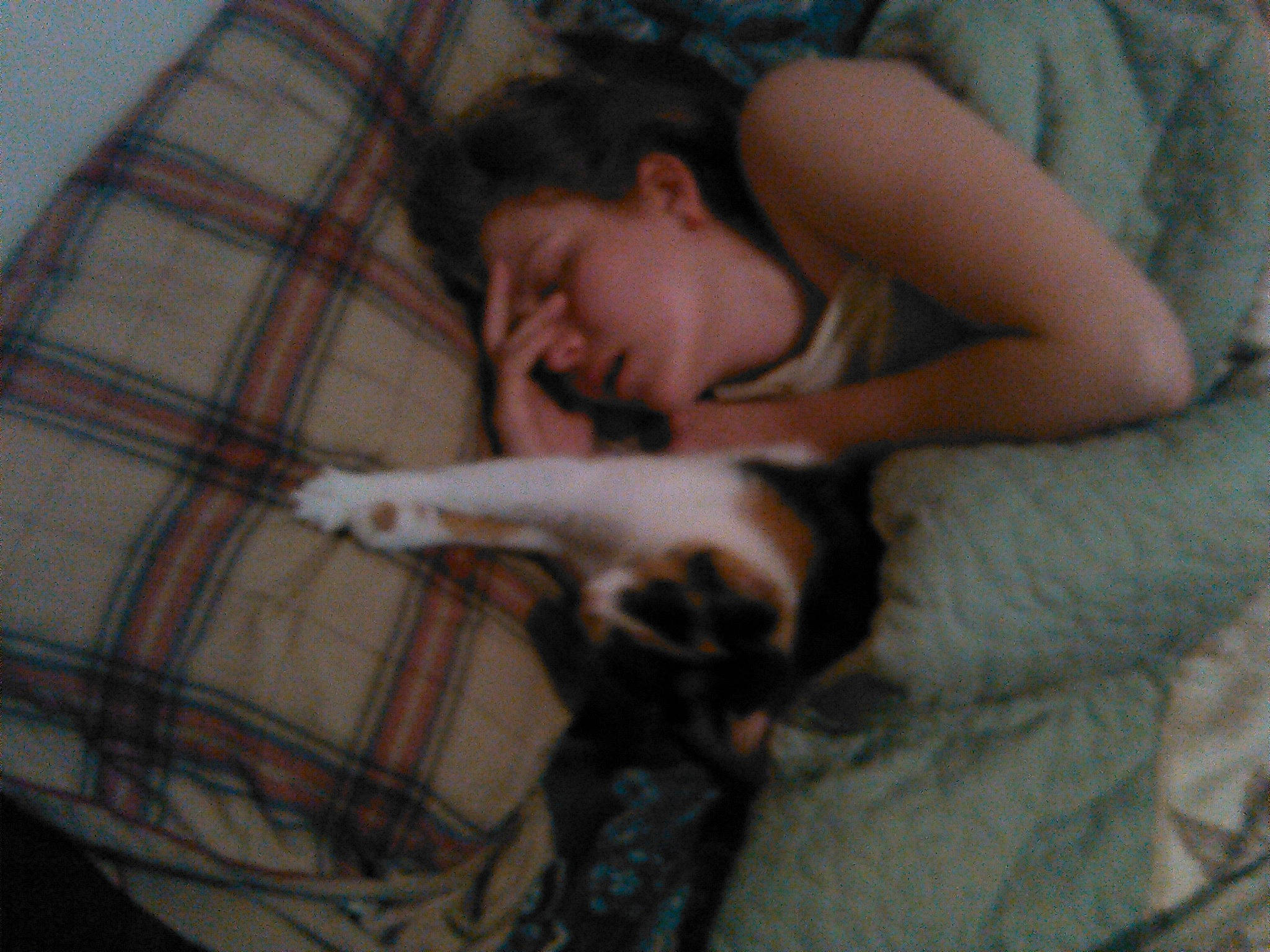 Taxi is registered to the contest to win money with this photo: bed, canidae, carnivore, comfort, companion_dog, dog_breed, domestic_short_haired_cat, fawn, felidae, fur, human_leg, linens, nap, pattern, paw, plaid, small_to_medium_sized_cats, tartan, thigh, whiskers