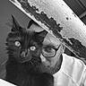 cat, black_cat, fluffy, longhaired, whiskers, eyes, animal, pet, portrait, selfie, man, glasses, beard, face, indoors, black_and_white, monochrome, close_up, dramatic_lighting, diagonal_composition