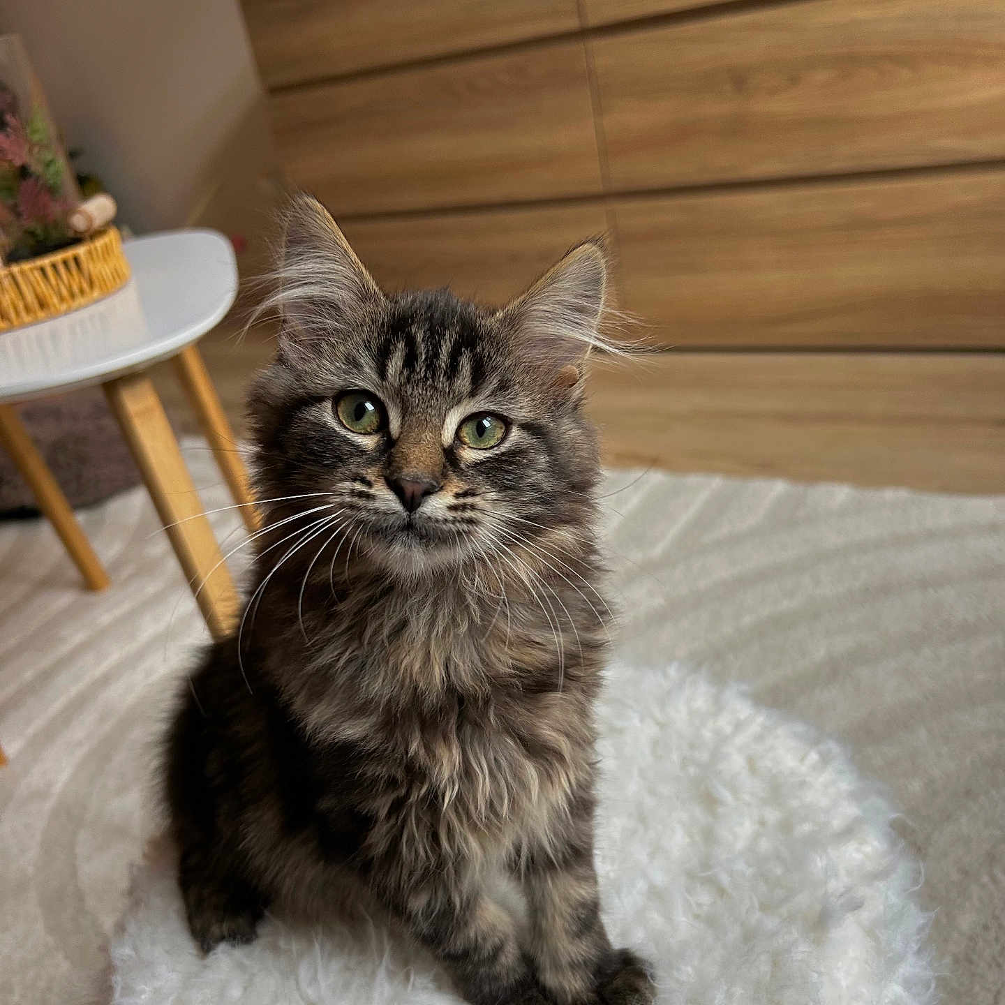 Nala