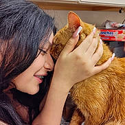 Güero joined the competition — help win amazing prizes! affection, black_hair, braces, cat, close_up, countertop, cute, domestic, face_touching, feline, gentle, human_animal_interaction, indoor, kitchen, long_nails, love, orange_tabby, pet, smile, woman