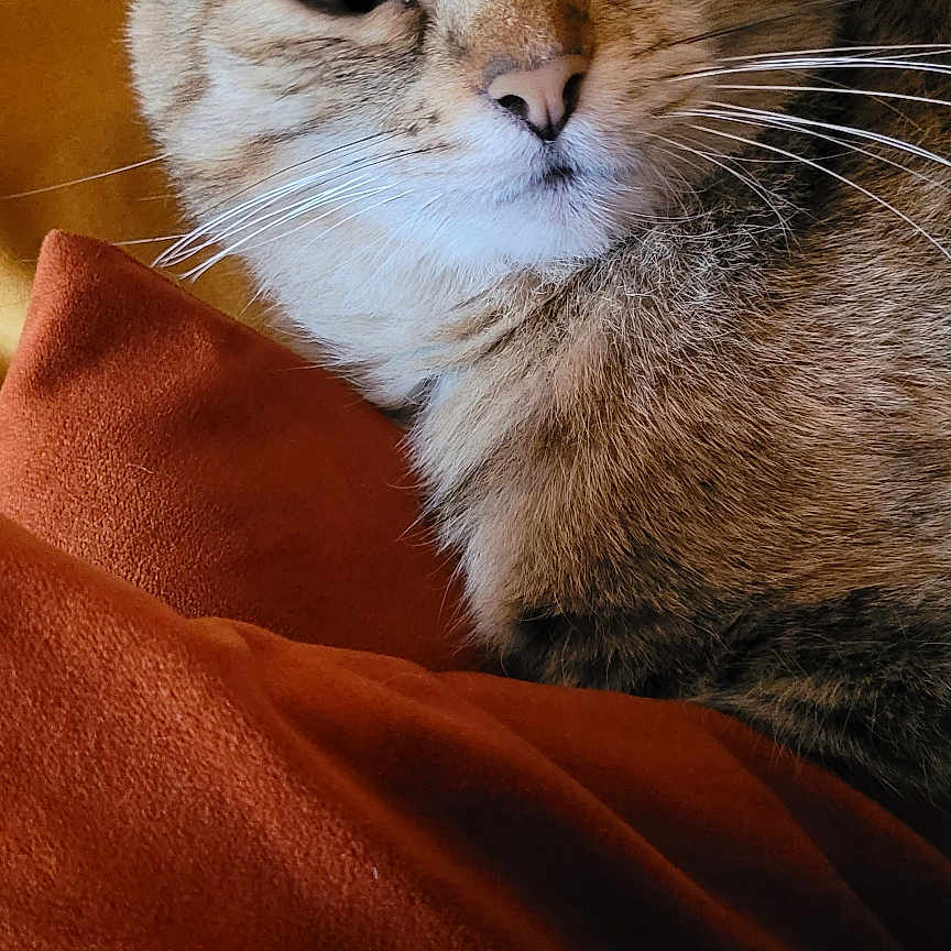 Louna